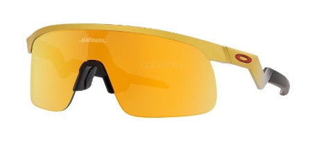 OAKLEY Resistor