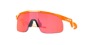 OAKLEY Resistor