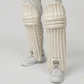 SKTB Cyclone Batting Leg guards